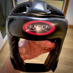 Dragons Head Guard